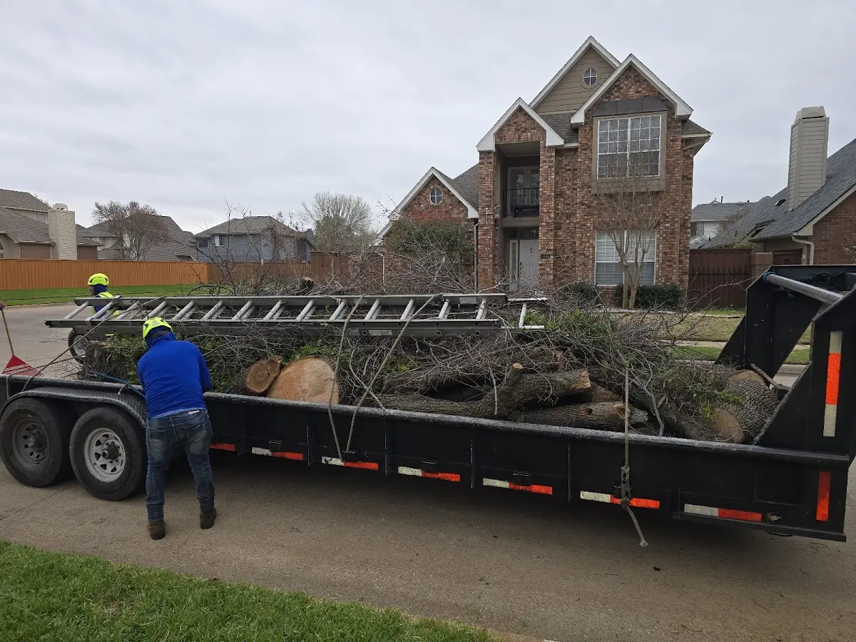 Expert Tree Removal with proper safety equipment in Calera